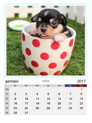 cover image of Calendario amici a 4 zampe 2017